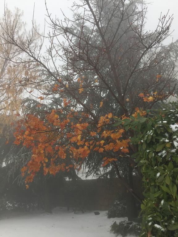 Ehden Country Club Hotel Bagian luar foto